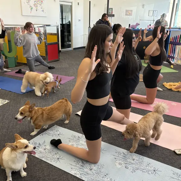 Relaxing puppy yoga session at K9 Rox Club